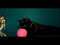 Видеоклип Beyonce Kitty Kat