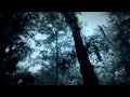 клип Trivium - In Waves 