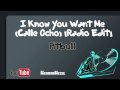 Видеоклип Pitbull I Know You Want Me (calle ocho) (Radio Edit)