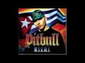 Видеоклип Pitbull 305 Anthem - feat Lil Jon