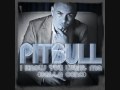 Видеоклип Pitbull I Know You Want Me (calle ocho) (More English Extended)