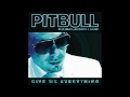 Видеоклип Pitbull Give Me Everything (Marc Kinchen MK Dub Mix)