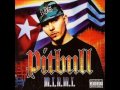 Видеоклип Pitbull Dammit Man - feat Piccalo