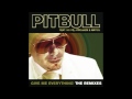 Видеоклип Pitbull Give Me Everything (Adam F Dutch Step Remix)