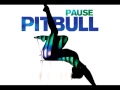 Видеоклип Pitbull Pause