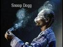 Видеоклип Snoop Dogg Perfect