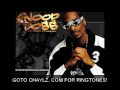 Видеоклип Snoop Dogg Brake Fluid (Biiittch Pump Yo Brakes) (Feat. KoKane)