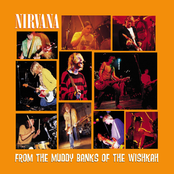 альбом Nirvana, From the Muddy Banks of the Wishkah