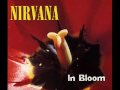Видеоклип Nirvana Polly (Live At Del Mar B-Side)
