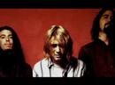 Видеоклип Nirvana Drain You (Peel Session)