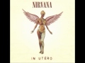 Видеоклип Nirvana Milk It (Live Version (Seattle, Washington))