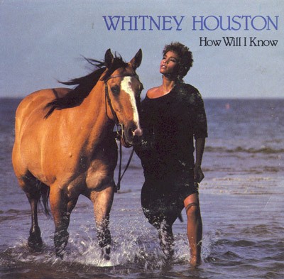 Видеоклип Whitney Houston How Will I Know