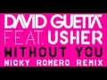 Видеоклип David Guetta Without You (feat. Usher) [Nicky Romero Remix] [Party Mix]