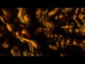 Видеоклип Tiesto Medusa
