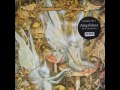 Видеоклип Tiesto In Complete Darkness - Angeldust