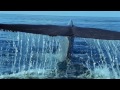Видеоклип Tiesto Blue Ocea - Blue Ocean