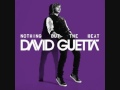 Видеоклип David Guetta Paris (Party Mix)